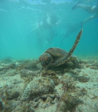 宮古島 ADVENTURE PiPi（ミヤコジマ アドベンチャー ピピ）に投稿された画像（2023/5/13）