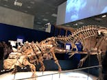 特別展「恐竜博2023」に投稿された画像（2023/5/14）