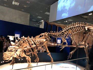 特別展「恐竜博2023」に投稿された画像（2023/5/13）