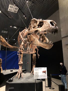特別展「恐竜博2023」に投稿された画像（2023/5/13）