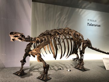 特別展「恐竜博2023」に投稿された画像（2023/5/13）