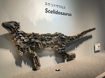 特別展「恐竜博2023」に投稿された画像（2023/5/13）