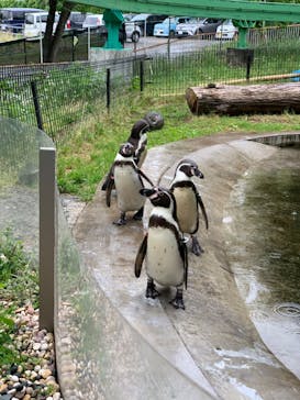 群馬サファリパークに投稿された画像（2023/5/13）