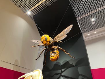 特別展「毒」に投稿された画像（2023/5/13）