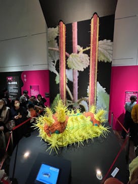 特別展「毒」に投稿された画像（2023/5/13）