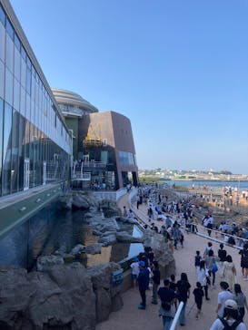 アクアワールド茨城県大洗水族館に投稿された画像（2023/5/13）