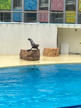 伊豆・三津シーパラダイスに投稿された画像（2023/5/14）