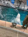 名古屋港水族館に投稿された画像（2023/5/14）