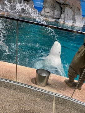 名古屋港水族館に投稿された画像（2023/5/14）