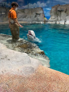 名古屋港水族館に投稿された画像（2023/5/14）