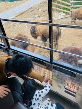 群馬サファリパークに投稿された画像（2023/5/14）