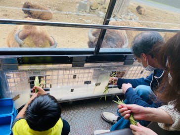 群馬サファリパークに投稿された画像（2023/5/14）