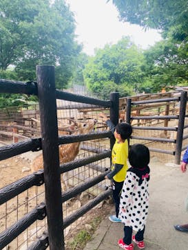 群馬サファリパークに投稿された画像（2023/5/14）