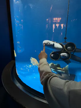 仙台うみの杜水族館に投稿された画像（2023/5/14）