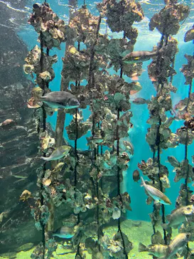 仙台うみの杜水族館に投稿された画像（2023/5/14）