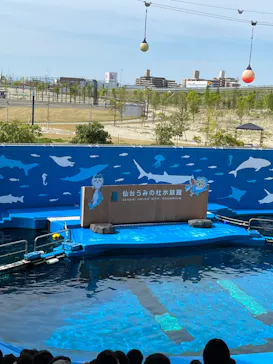 仙台うみの杜水族館に投稿された画像（2023/5/14）