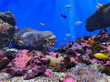 仙台うみの杜水族館に投稿された画像（2023/5/14）