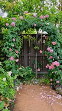 横浜イングリッシュガーデンに投稿された画像（2023/5/14）