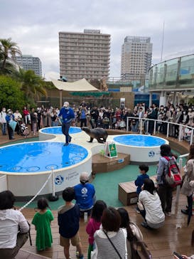サンシャイン水族館に投稿された画像（2023/5/14）