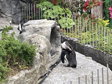 サンシャイン水族館に投稿された画像（2023/5/14）
