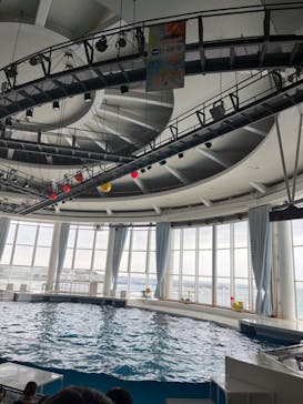 アクアワールド茨城県大洗水族館に投稿された画像（2023/5/14）