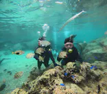 武藤潜水に投稿された画像（2023/5/14）