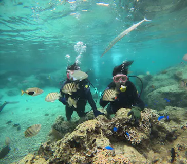 武藤潜水に投稿された画像（2023/5/14）