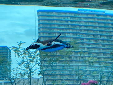 サンシャイン水族館に投稿された画像（2023/5/14）