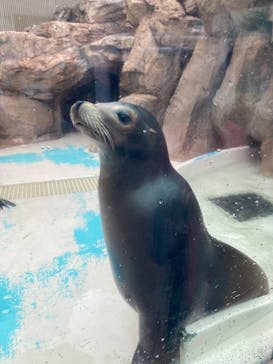 サンシャイン水族館に投稿された画像（2023/5/14）