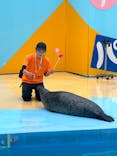 東武動物公園に投稿された画像（2023/5/14）