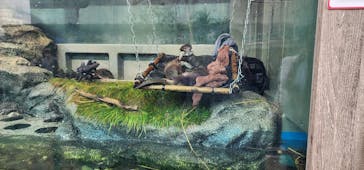 サンシャイン水族館に投稿された画像（2023/5/14）