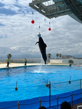 マリンワールド海の中道に投稿された画像（2023/5/14）