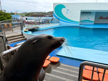 南知多ビーチランド＆南知多おもちゃ王国に投稿された画像（2023/5/14）