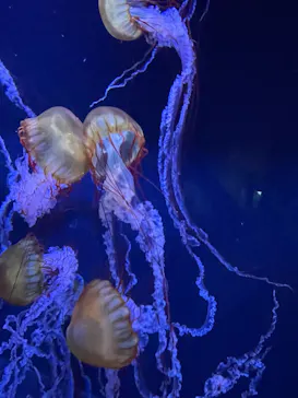 すみだ水族館に投稿された画像（2023/5/14）
