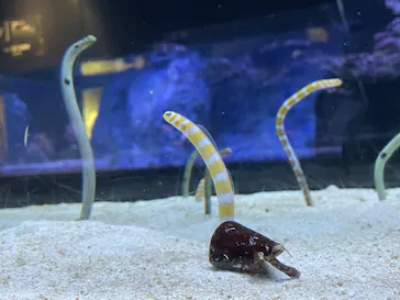 すみだ水族館に投稿された画像（2023/5/14）