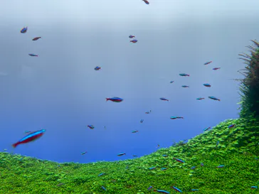 すみだ水族館に投稿された画像（2023/5/14）