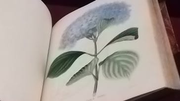 東洋文庫ミュージアムに投稿された画像（2023/5/14）