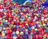 ハピピランド ラグーナ蒲郡に投稿された画像（2023/5/14）