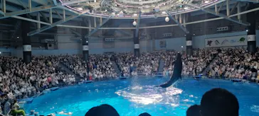 マクセル アクアパーク品川に投稿された画像（2023/5/14）