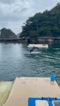 下田海中水族館に投稿された画像（2023/5/14）