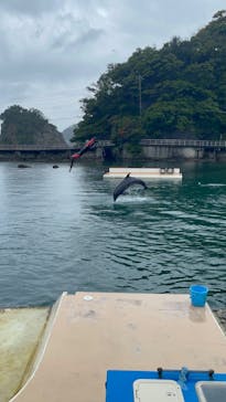 下田海中水族館に投稿された画像（2023/5/14）