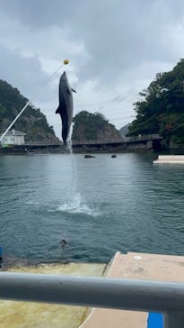 下田海中水族館に投稿された画像（2023/5/14）