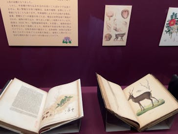 東洋文庫ミュージアムに投稿された画像（2023/5/14）