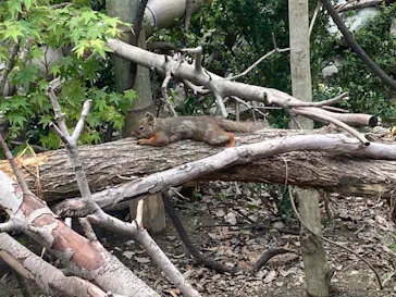 神戸どうぶつ王国に投稿された画像（2023/5/14）