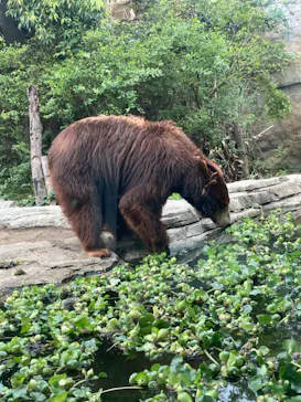 神戸どうぶつ王国に投稿された画像（2023/5/14）