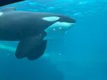 名古屋港水族館に投稿された画像（2023/5/14）