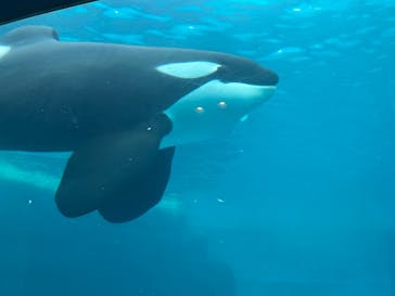 名古屋港水族館に投稿された画像（2023/5/14）
