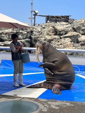 大分マリーンパレス水族館 「うみたまご」に投稿された画像（2023/5/14）
