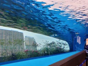 サンシャイン水族館に投稿された画像（2023/5/14）