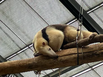 神戸どうぶつ王国に投稿された画像（2023/5/14）